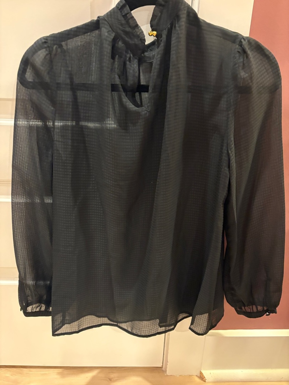 Sheer Blouse - Picture 3 of 3